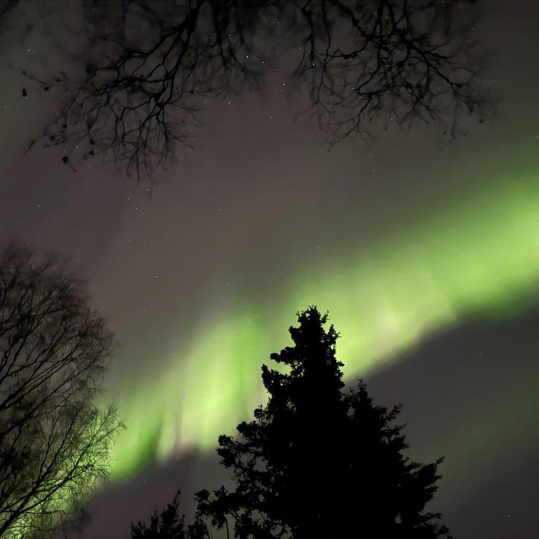 Northern lights may be faintly visible across parts of the US this Thanksgiving